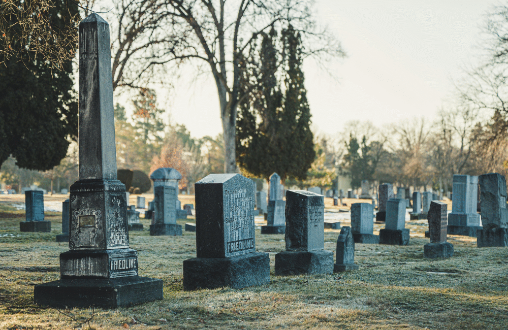 🏡Inventário em João Pessoa: Diferenças Entre Judicial e Extrajudicial e Como Agilizar a Partilha— Por Dra. Edna Fernandes, Advogada Imobiliária